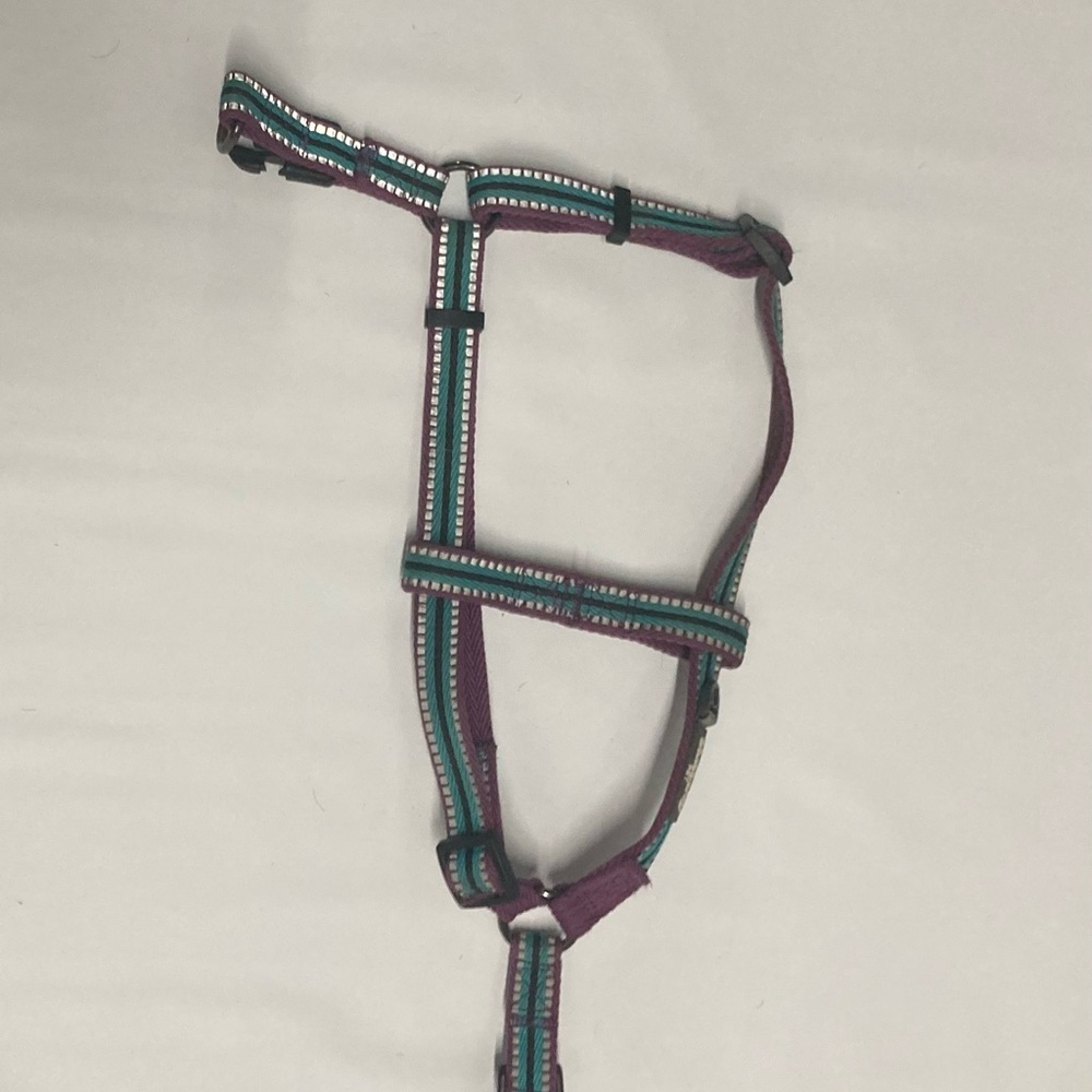 Blueberry Pet Classic Step-in Dog Harness Purple Striped Size Small